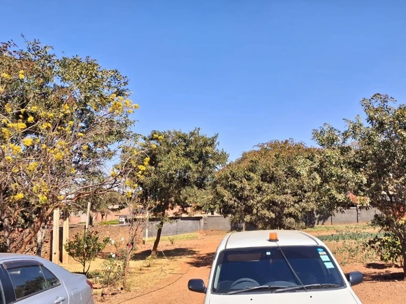 Stands & Residential Land