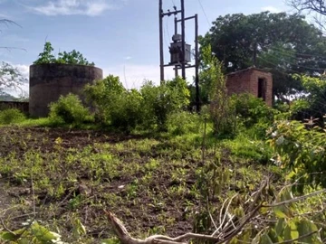 Farm & Agricultural Land