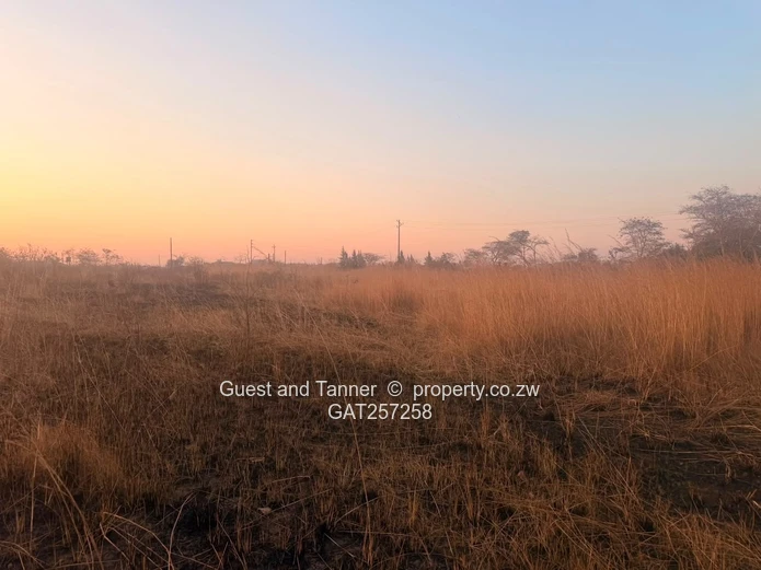 7,467Sqm Stand With Two Boreholes | Norton, Galloway