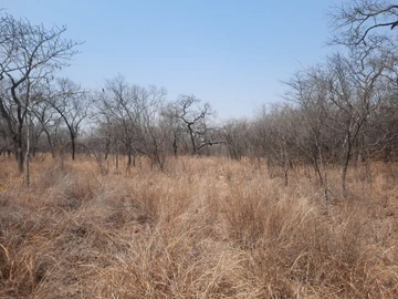 Farm & Agricultural Land