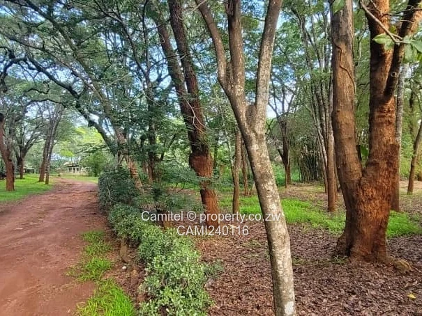 11 482sqm in highlands with sewer nearby and clean deeds a cluster house development potential 