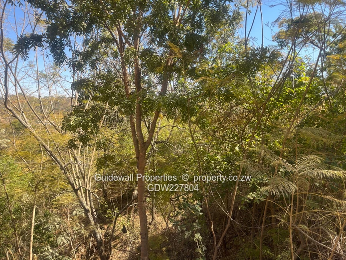 2000sqm stand for sale in Shawasha