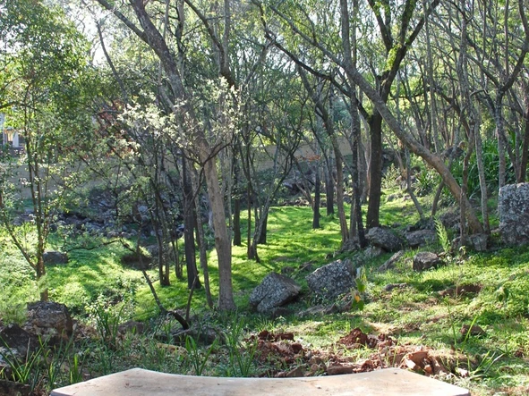 4 Bedroom Townhouse Complex