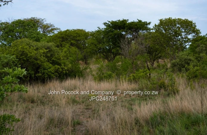 18.9 Acres in Fortunes Gate!