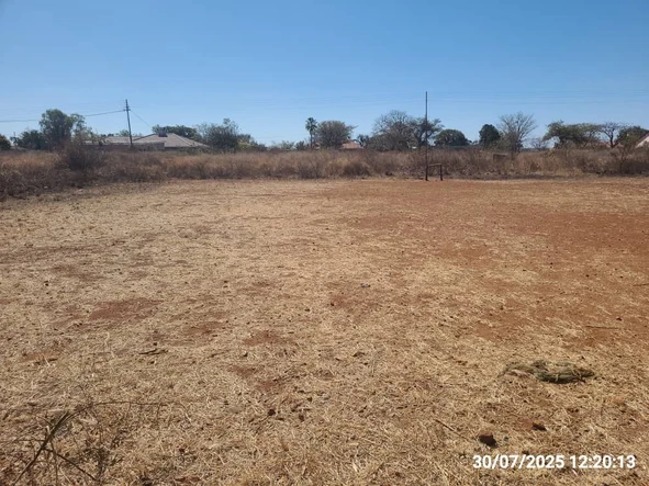 Stands & Residential Land