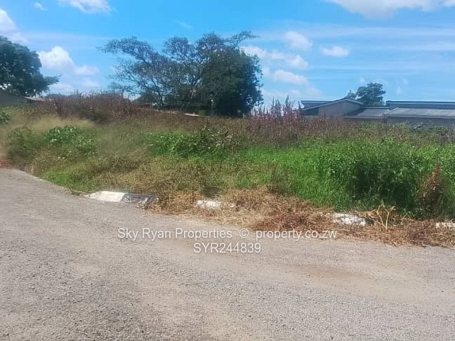 Westgate Ocean Park Stand For Sale