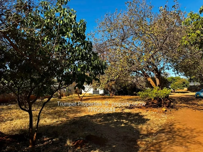 Eastlea: 3-Bed Home on 2,526 m² — Walled, Verandah