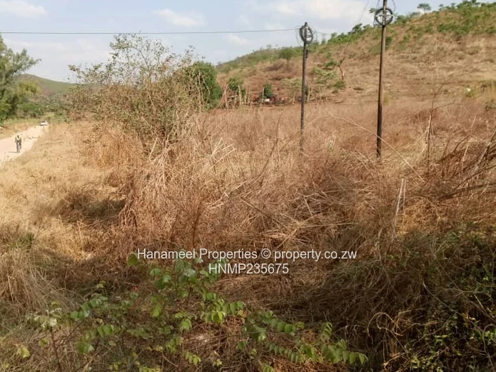 Glen lorne  (Sole Mandate)