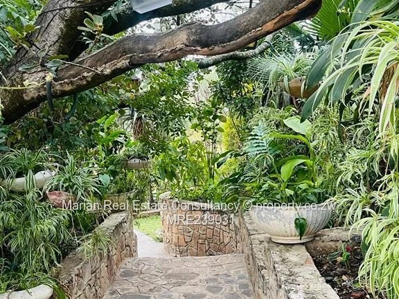 Burnside, Stand FOR SALE