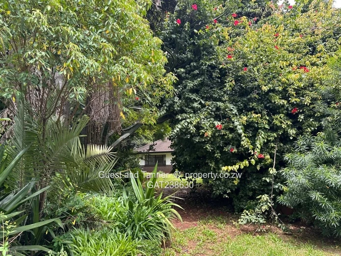 3-Bed House For Sale In Belvedere