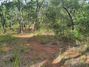 Farm & Agricultural Land