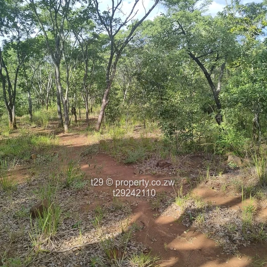 Norton chegutu selous plots for sale