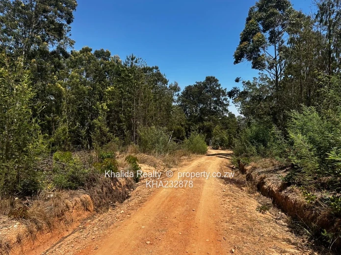 Prime 8,000sqm Stand for Sale – Juliusdale, Nyanga  (Sole Mandate)