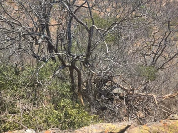 Farm & Agricultural Land