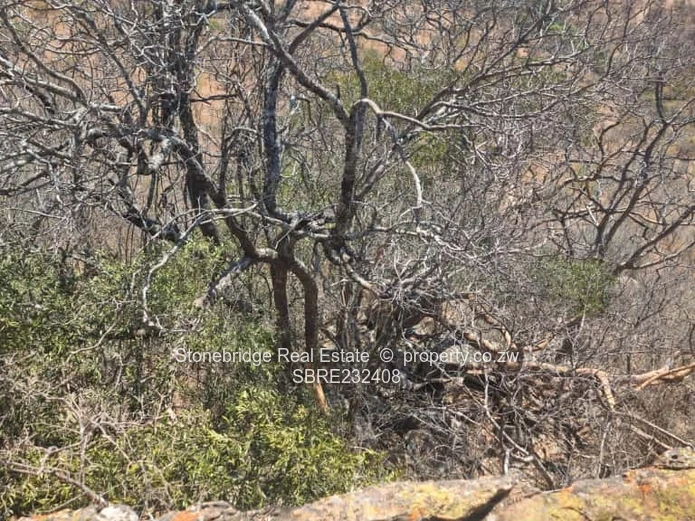 Prime Land for sale in Esigodini