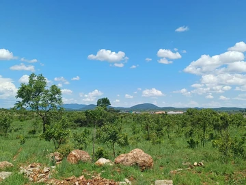 Commercial & Industrial Land