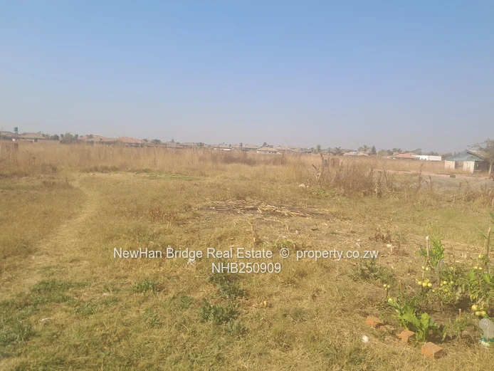 800m² Fenced Stand in Marlborough — Tarred Road Access (Sole Mandate)