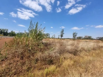 Commercial & Industrial Land