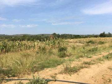 Farm & Agricultural Land