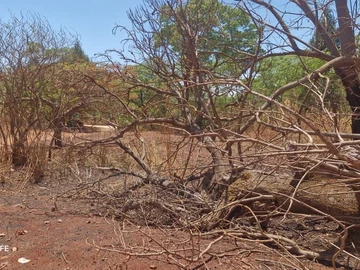 Stands & Residential Land