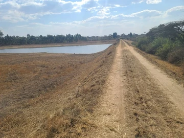 Farm & Agricultural Land