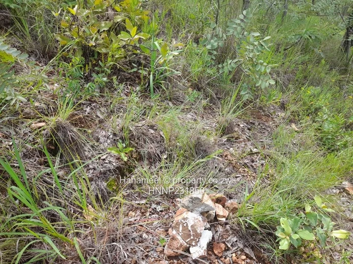 Glen lorne residential property measuring 9 956 sqm on sloppy land