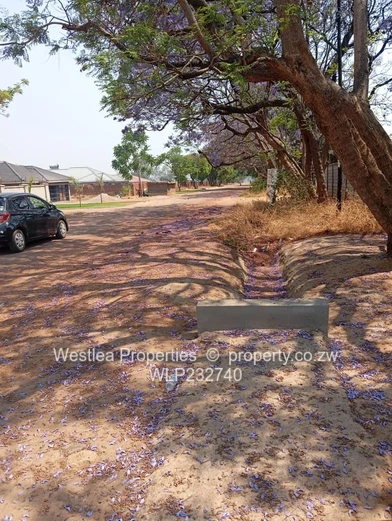 An opportunity not to miss