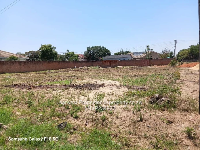 Zimre Park Stand For Sale