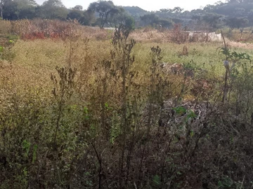 Farm & Agricultural Land