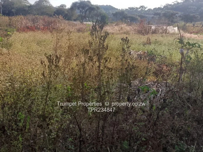 65ha Arable & Grazing Farm with Valley Views, Chinhoyi