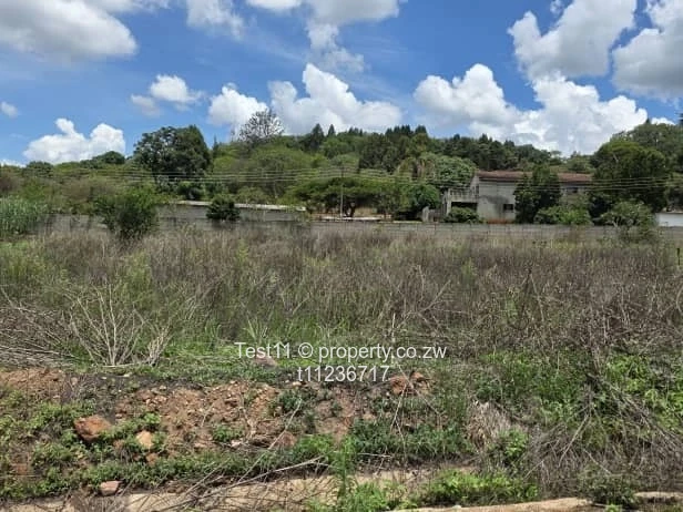 Borrowdale Brooke , A piece of real estate