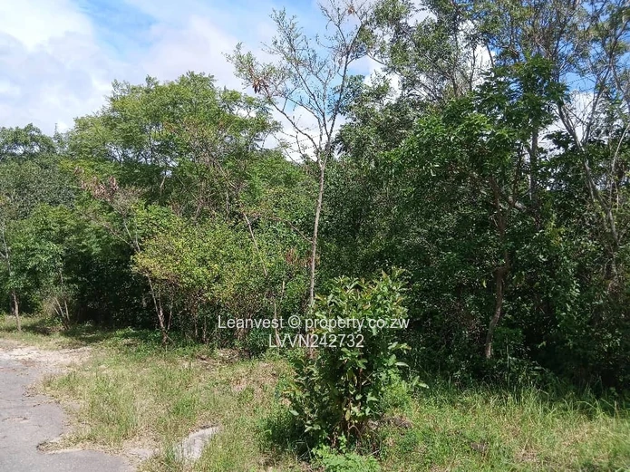 Glen Lorne Stand For Sale 