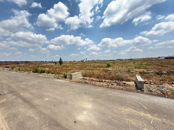 Stands & Residential Land