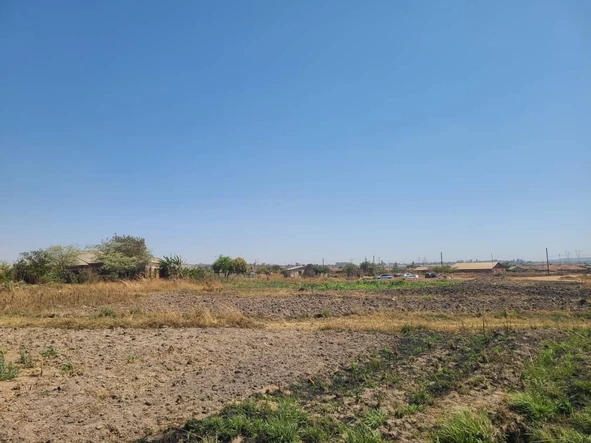 Stands & Residential Land