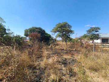 Stands & Residential Land