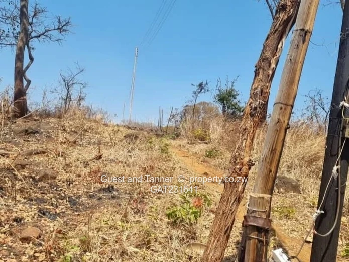 Agro-Residential Land For Sale In Glen Forest