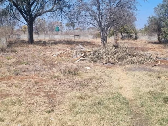 Stands & Residential Land