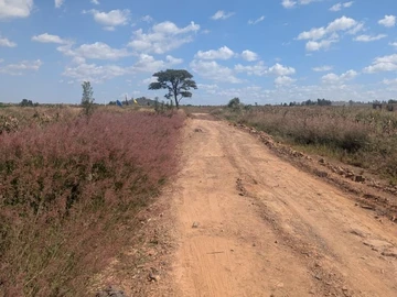 Land