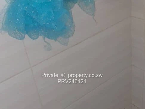 Neat detached 1bed wing to let in Avondale West - $550/month inclusive 