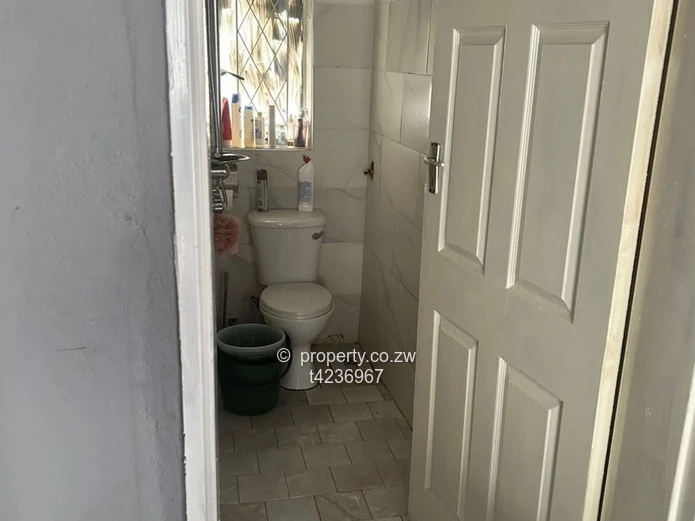 Malborough Bedsitter to rent  (Sole Mandate)