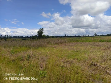 Farm & Agricultural Land