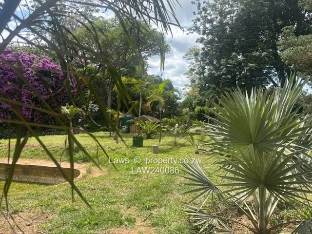 Potential for a great development !