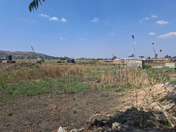 Stands & Residential Land