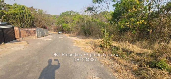 5200m² Glen Lorne Stand — Elevated Wooded Retreat