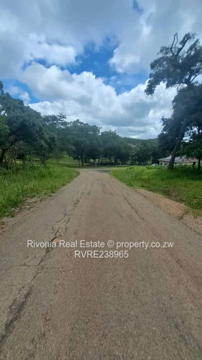 2000m² tree-lined stand with new paved road — Carrick Creagh