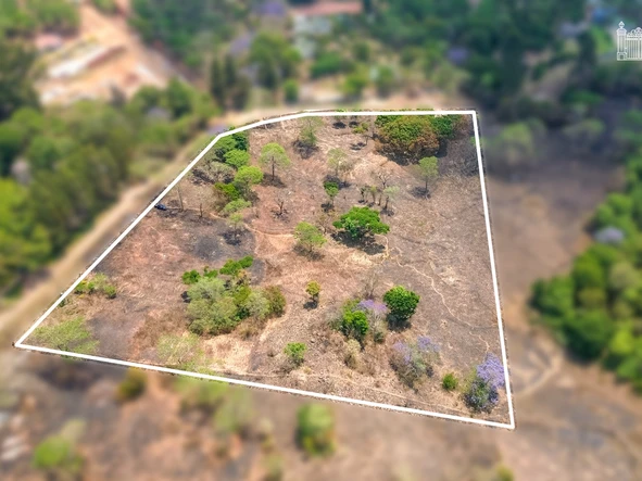 Land