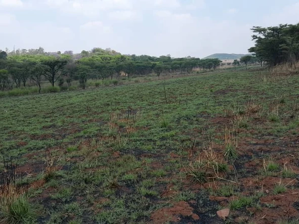 Farm & Agricultural Land