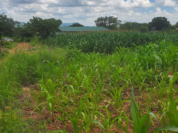 Commercial & Industrial Land