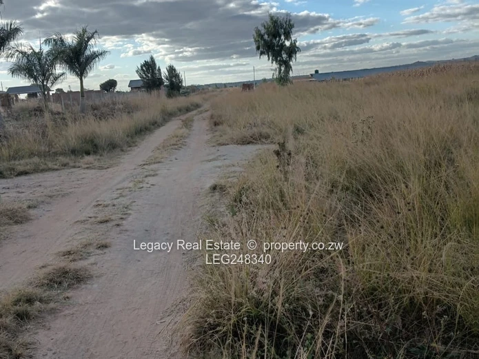 Prime 1-Hectare Plot In Rainham With Reliable Water Supply