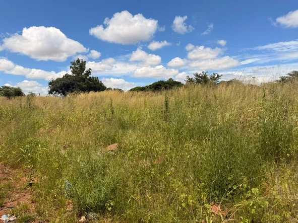 Stands & Residential Land